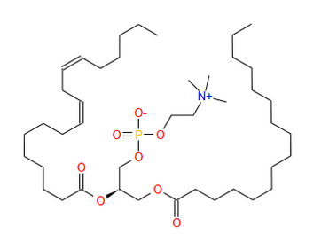 Phosphatidylcholine(PC)
