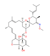 Moxidectin