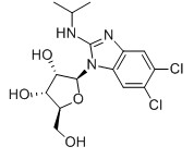 Maribavir