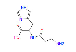 L-Carnosine