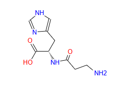 L-Carnosine