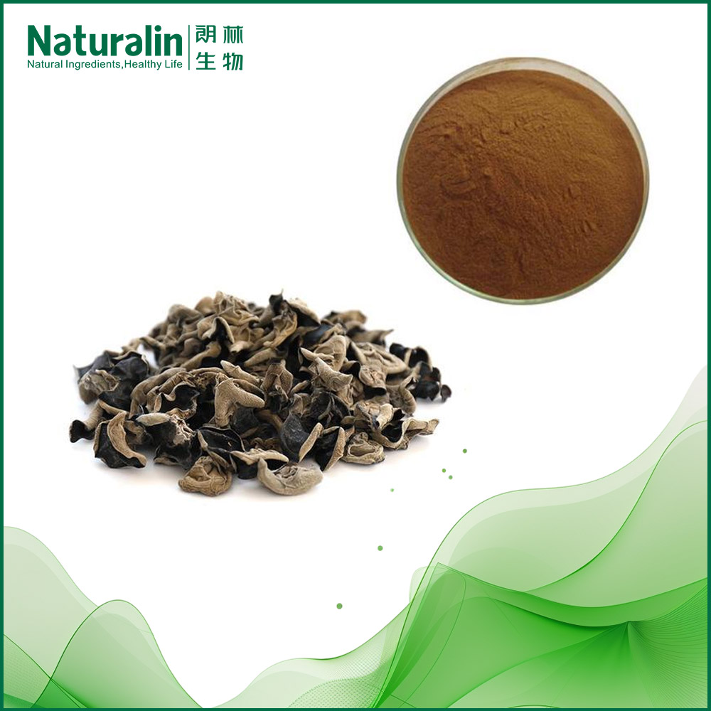 Black Fungus Extract