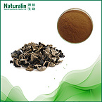 Black Fungus Extract