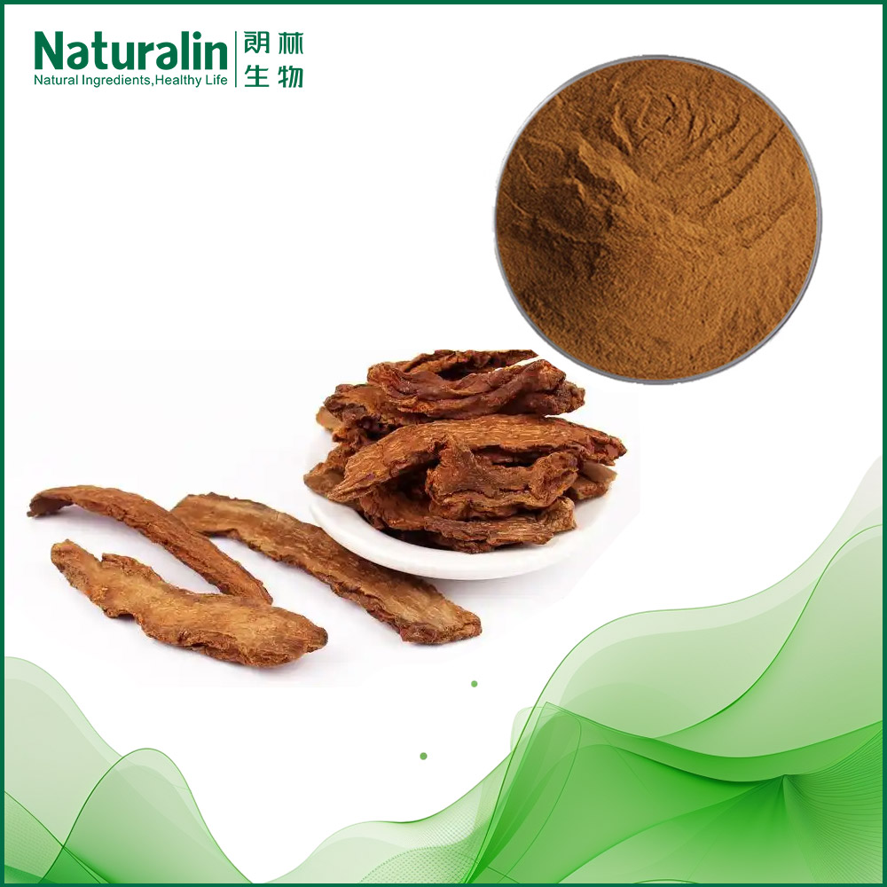 Cynomorium Extract