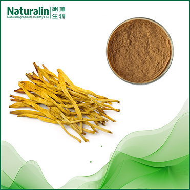 Daylily Extract