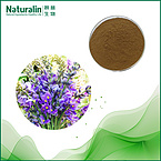 Pueraria Flower Extract