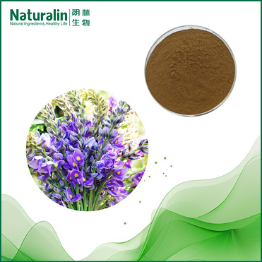 Pueraria Flower Extract