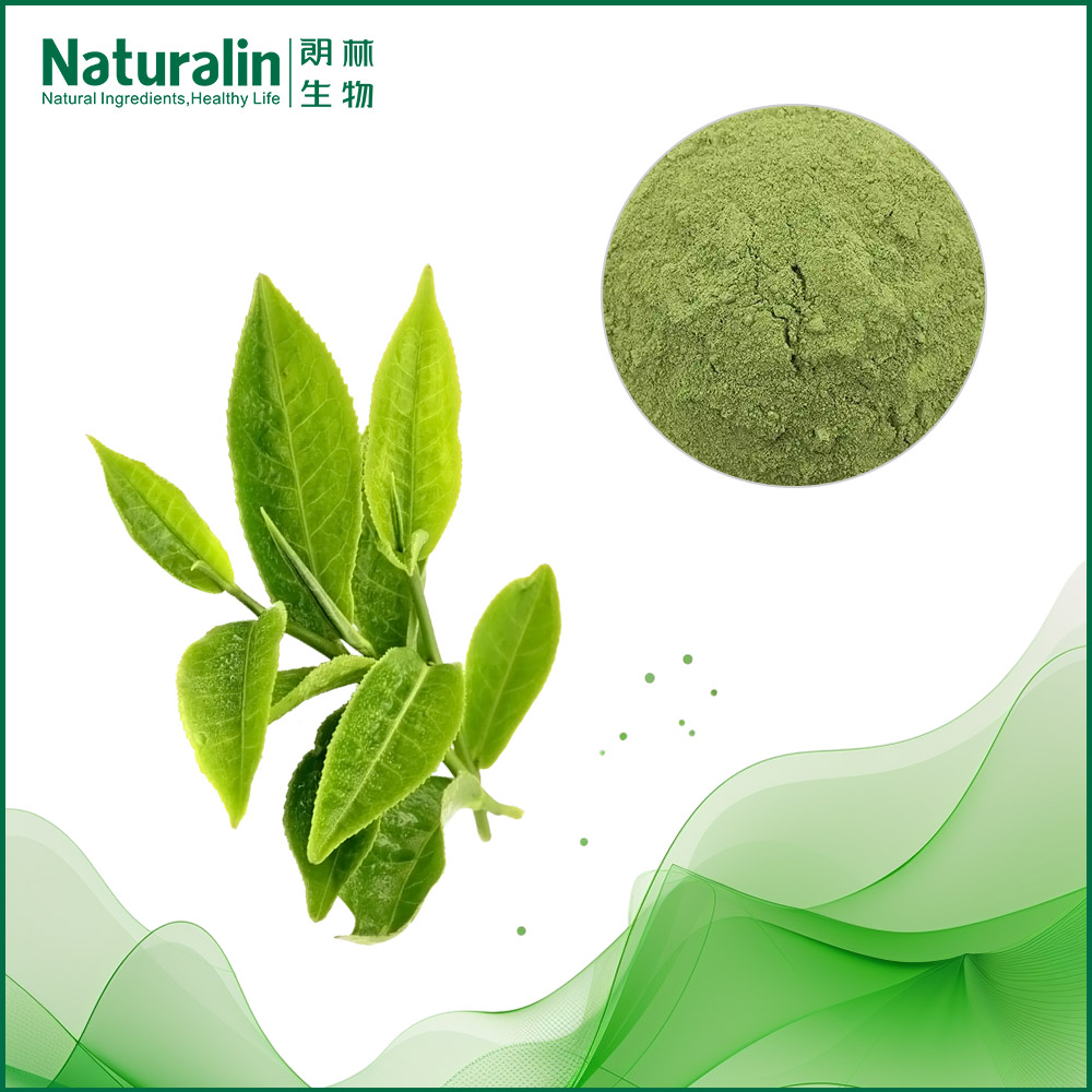 Matcha Powder