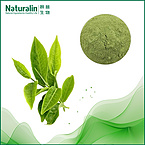 Matcha Powder