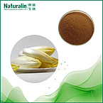 Chicory Extract(Inulin)