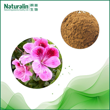 Geranium Extract