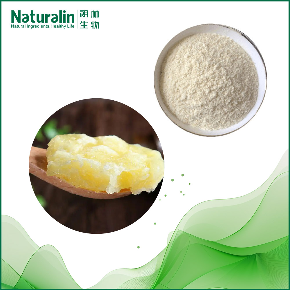Royal Jelly Powder