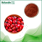 Rose Extract