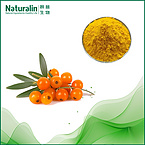 Sea buckthorn (Fructus Hippophae )Extract
