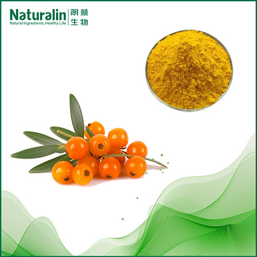Sea buckthorn (Fructus Hippophae )Extract