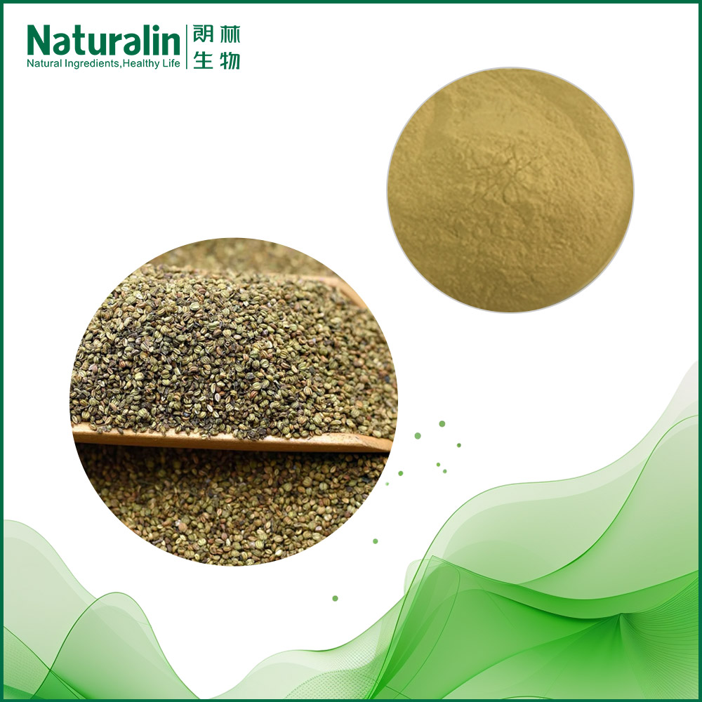 Dill seed Extract