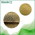Dill seed Extract