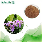 Banaba Extract