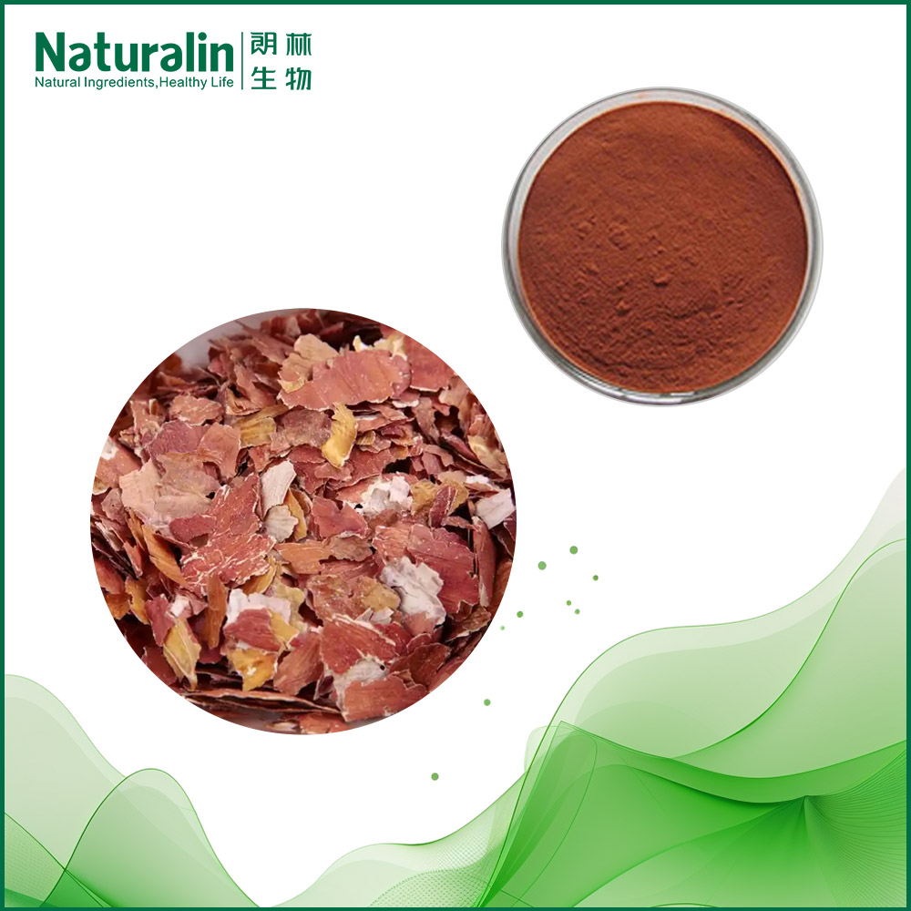 Peanut Skin Extract