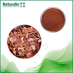 Peanut Skin Extract