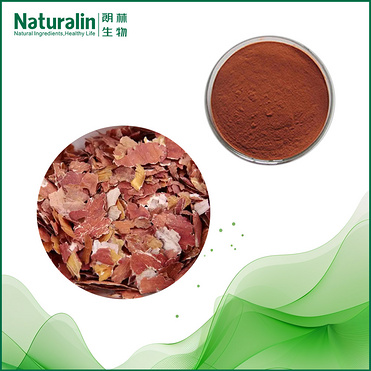 Peanut Skin Extract