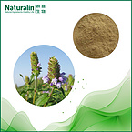 Spica Prunellae Extract