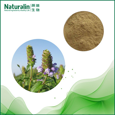 Spica Prunellae Extract