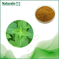Herba Rabdosiae Extract