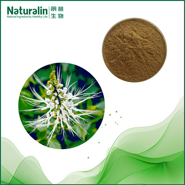 Spicate Clerodendranthus Herb Extract