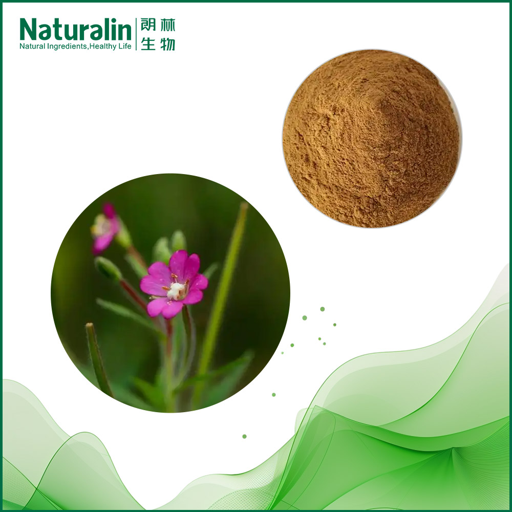 Floret Willow Herb Extracts
