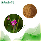 Floret Willow Herb Extracts