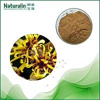 Witch Hazel Extract