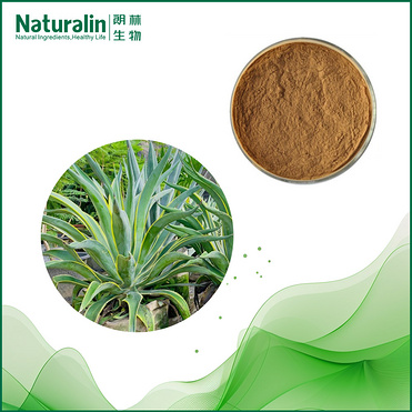 Maguey Extract