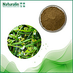 Stems Purplish Puerarin Extract