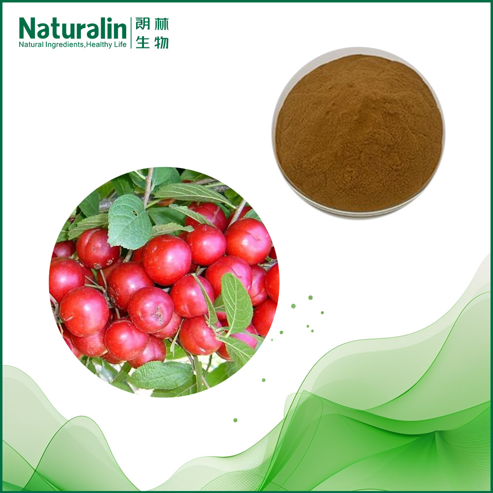 Semen Pruni Humilis Extract