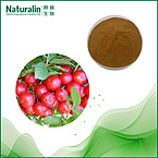 Semen Pruni Humilis Extract