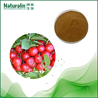 Semen Pruni Humilis Extract