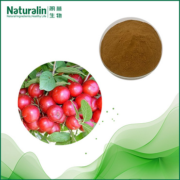 Semen Pruni Humilis Extract