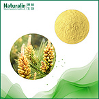 Pollen Pini Extract