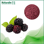 Mulberry Fruit Extract
