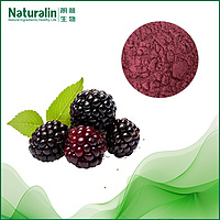 Mulberry Fruit Extract