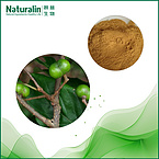 Pygeum Extract