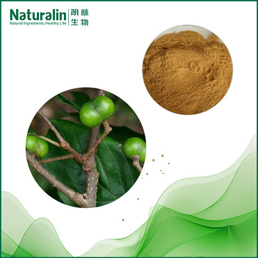 Pygeum Extract