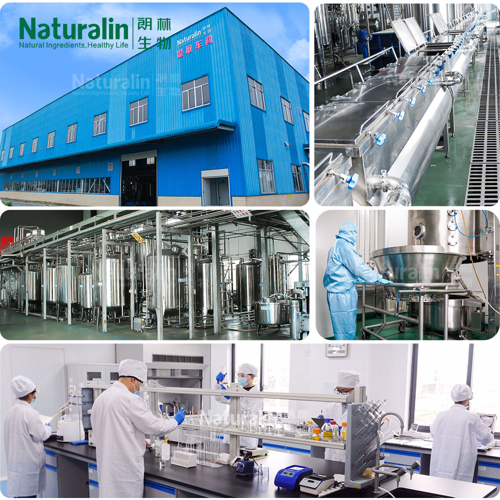 Pueraria Flower Extract  