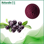 Acai?Berry?Extract