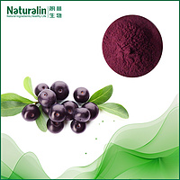Acai Berry Extract