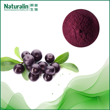 Acai?Berry?Extract