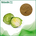 Cabbage Extract