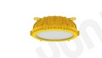EXPLOSION-PROOF CEILING LIGHT