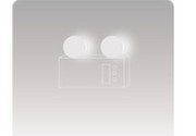 Ordinary double headlights